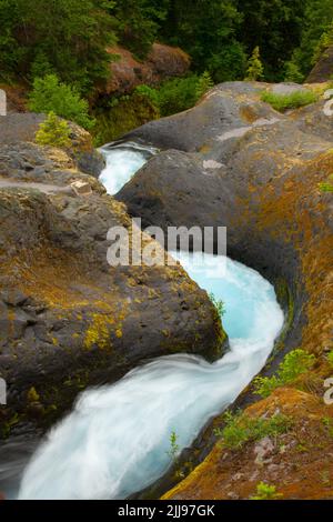 Rivière Muddy le long de la piste de Lava Canyon, monument volcanique national du Mont St Helens, Washington Banque D'Images