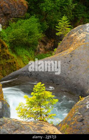 Rivière Muddy le long de la piste de Lava Canyon, monument volcanique national du Mont St Helens, Washington Banque D'Images