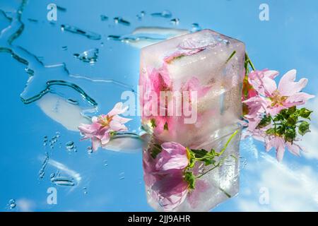 Podium transparent glacé avec fleurs sur fond ciel bleu miroir avec nuages et gouttes d'eau Banque D'Images