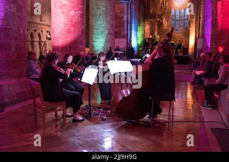 dh St Magnus Festival KIRKWALL ORKNEY violons et cordes de basse à l'intérieur de la cathédrale public intérieur un quatuor à cordes qui joue Banque D'Images