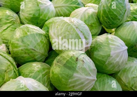 Groupe de cabanes vertes dans un supermarché. Fond de chou. Chou frais de la ferme, beaucoup de chou sur le marché. Chou vert à vendre Banque D'Images