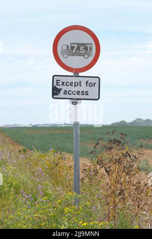 Autocollant chat noir sur le panneau de route à Kent, Angleterre, Royaume-Uni Banque D'Images