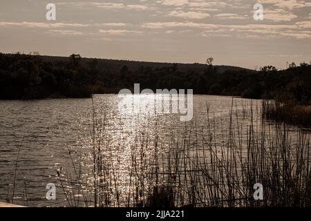 Faune éléphant Hippo coucher de soleil paysage, Afrique du Sud Banque D'Images