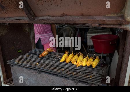 Le bâton de calmar d'oeuf sont grillés sur le gril de fil sur le charbon de bois brûlant à la stalle du marché extérieur en Thaïlande. Banque D'Images