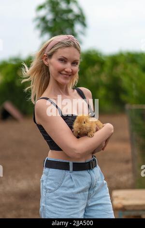 Lapin fille tenant lapin pâques mignon fourrure amitié animal attrayant, pour mains femme pour joli pour ferme domestique, extérieur adorable. Oreilles visage, Banque D'Images