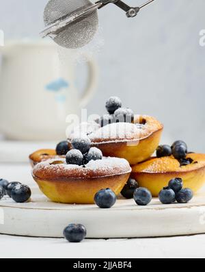 Mini-tourtes rondes au fromage cottage avec myrtilles sur une planche en bois blanc, délicieux dessert sucré Banque D'Images