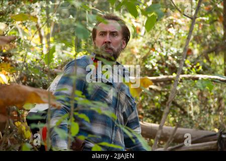 NICOLAS CAGE, Joe, 2013 Banque D'Images