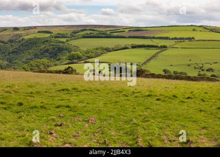 Campagne pittoresque, Exmoor, Devon. Banque D'Images