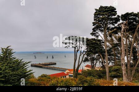 Vue sur la baie de San Francisco et Alcatraz avec un brouillard peu suspendu et des cyprès de Monterey vus depuis le sentier de fort point en été à San Francisco, États-Unis Banque D'Images