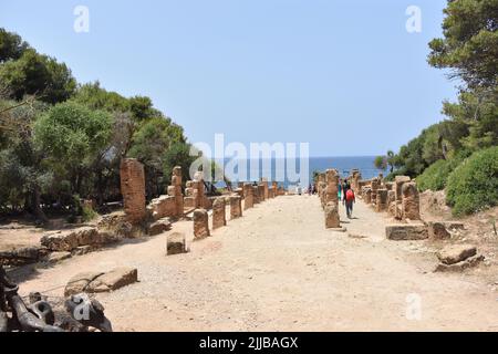 Les ruines romaines anciennes au bord de la mer dans la ville de Tipaza Algières Banque D'Images