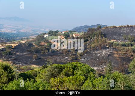 Cinigiano, Italie. 25th juillet 2022. Des traces de feu sont visibles sur le mont Amiata. Des dommages dévastateurs y ont été causés. Selon le service des incendies italien, plus de 500 personnes ont dû quitter temporairement leur maison parce qu'il y avait un danger de propagation des flammes à la ville. Le service des incendies d'Italie lutte contre les incendies de forêt et de steppe depuis des jours. Credit: Stephan Schulz/dpa-Zentralbild/dpa/Alay Live News Banque D'Images