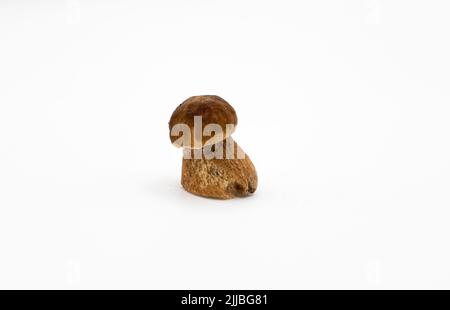 De magnifiques champignons porcini frais sur fond blanc de nourriture saine de saison isolée Banque D'Images