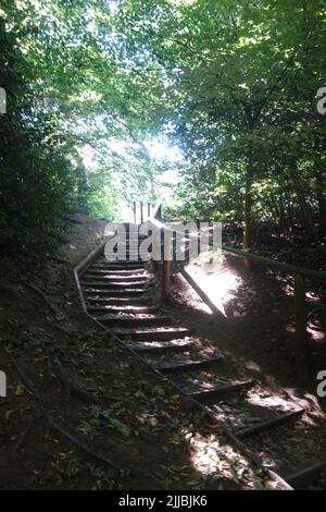 Path, Golders Hill Park, Londres, Royaume-Uni Banque D'Images