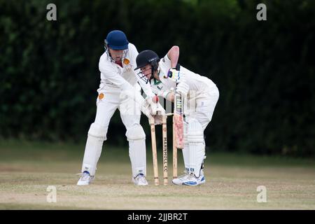 Un batteur de cricket est en train de se faire l'emboule Banque D'Images