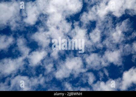 Altocumulus Castellanus Fair Weather nuages dans le ciel bleu Banque D'Images