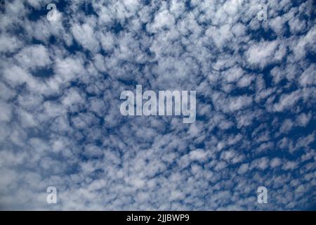 Altocumulus Castellanus Fair Weather nuages dans le ciel bleu Banque D'Images