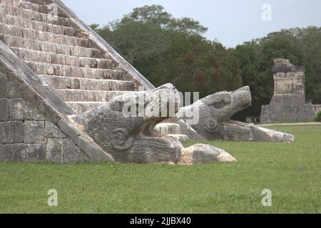 La tête de jaguar sculpte à la base de la pyramide Chichen Itza au Mexique Banque D'Images