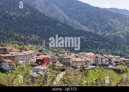 Petit village de Vervo entouré de vignes sur des pentes ensoleillées, surcultivé avec une forêt dense des hautes montagnes alpines, Trentin, Italie Banque D'Images