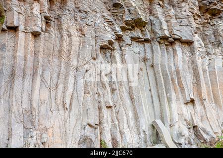 Colonnes basaltiques à Sant Joan les Fonts, Parc naturel de la zone volcanique la Garrotxa, Gérone, Espagne Banque D'Images