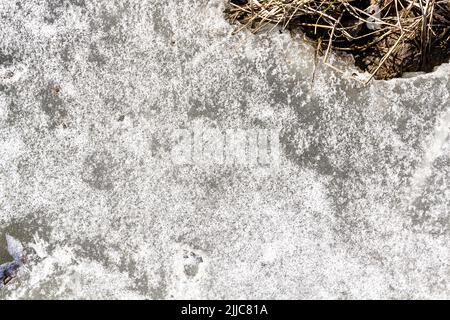 Le sol du ressort est recouvert de neige décongelée. Faire fondre de la glace sur l'herbe sèche en gros plan. Banque D'Images