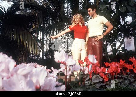 ARCHIVE PHOTO: Hansi MUELLER aura 65 ans sur 27 juillet 2022, 08SN MUELLER150482SP.jpg Hansi MUELLER, Allemagne, joueur de football, Privé, avec sa petite amie Claudia, ils regardent les fleurs dans un parc, format paysage, 15 avril 1982. © SVEN SIMON#Prinzess-Luise-Str.41#45479 M uelheim/R uhr #tél. En anglais, 6/9413250 fax:0208/9413260 compte 1428150 C ommerzbank E ssen BLZ 36040039 www.photopool.de. Banque D'Images