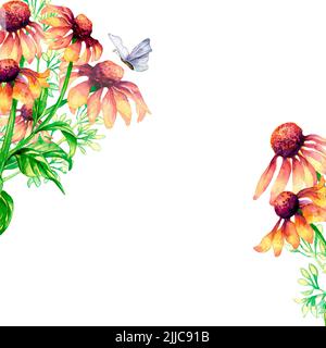 Cadre avec fleurs roses de prairie, bouquet de fleurs de conées aquarelle illustration isolée. Fleurs sauvages orange et insecte papillon peint à la main. Design ele Banque D'Images