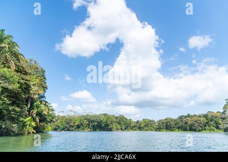 Les îles de l'île Monkey dans le canal de Panama Banque D'Images