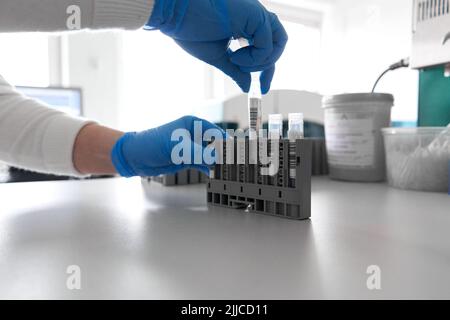 Vue rapprochée d'un employé qui trie des échantillons dans un récipient de réaction à centrifuger Banque D'Images