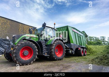 Un tracteur et une remorque qui renversent l'herbe récoltée dans une fosse d'ensilage d'une exploitation laitière, Dumfries, Écosse, Royaume-Uni. Banque D'Images