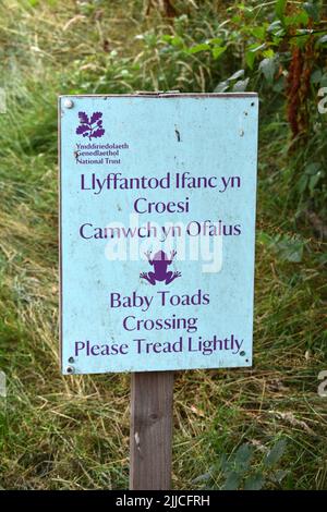 Baby Toads Crossing Please Tread Lightly Sign, Bosherston, Stackpole, Pembrokeshire, pays de Galles Banque D'Images