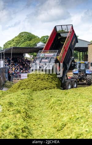 Un tracteur et une remorque qui renversent l'herbe récoltée dans une fosse d'ensilage d'une exploitation laitière, Dumfries, Écosse, Royaume-Uni. Banque D'Images