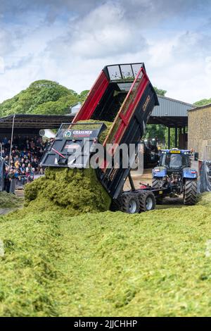 Un tracteur et une remorque qui renversent l'herbe récoltée dans une fosse d'ensilage d'une exploitation laitière, Dumfries, Écosse, Royaume-Uni. Banque D'Images