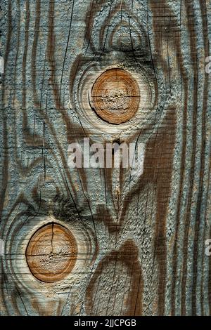 Vue rapprochée de la surface en bois texturée avec des motifs naturels et des détails de grain Banque D'Images