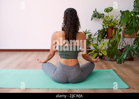 Vue arrière d'une femme assise méditant sur son tapis de yoga avec des plantes Banque D'Images