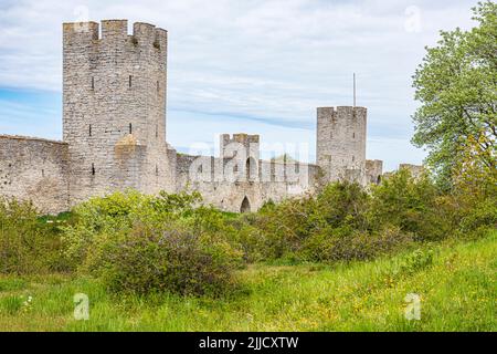 Mur de la ville de Visby (mur de l'anneau de Visby) autour de la ville médiévale de Visby, sur l'île de Gotland, dans la mer Baltique au large de la Suède Banque D'Images