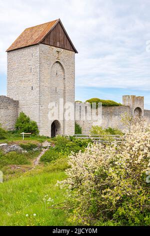 Mur de la ville de Visby (mur de l'anneau de Visby) autour de la ville médiévale de Visby, sur l'île de Gotland, dans la mer Baltique au large de la Suède Banque D'Images