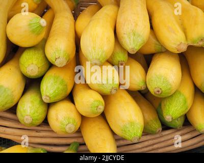 courge jaune d'été fraîche et biologique dans un panier au marché d'eugene le samedi Banque D'Images