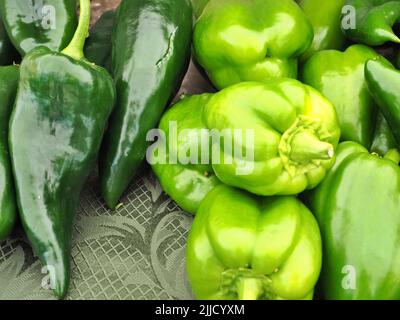 poivrons verts et poivrons poblano frais biologiques dans le panier du marché du samedi d'eugene Banque D'Images