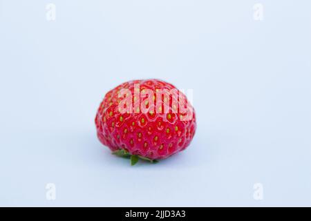Fruit de fraise isolé sur fond blanc. Gros plan d'une seule fraise. Banque D'Images