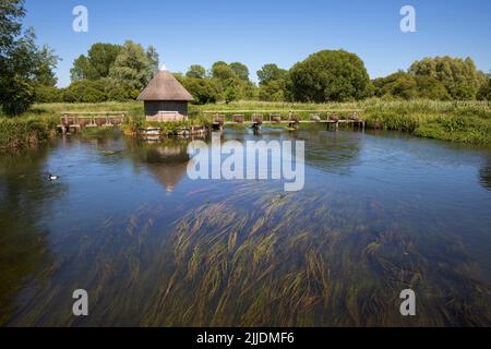 Cabane de pêche au chaume sur le River Test, Longstock, Stockbridge, Hampshire, Angleterre, Royaume-Uni, Europe Banque D'Images