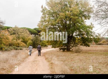 Deux hommes adultes marchent leurs chiens le long d'un sentier de campagne lors d'une belle journée d'automne brumeux. Banque D'Images