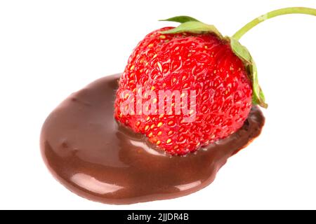 Fraises à trempette de chocolat isolées sur blanc. Goutte de chocolat des fraises. Belle baie rouge. Banque D'Images