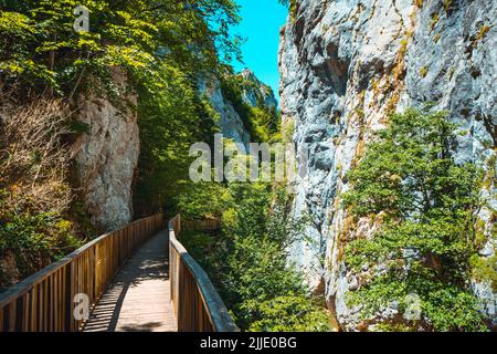 Horma Canyon. Parc national des montagnes de Kure. Sentier de randonnée Horma Canyon. Voyage en Turquie. Pinarbasi, Kastamonu, Turquie Banque D'Images