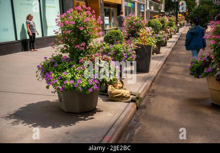 Un homme sans abri dort dans le quartier de l'habillement à New York jeudi, 14 juillet 2022. (© Richard B. Levine) Banque D'Images