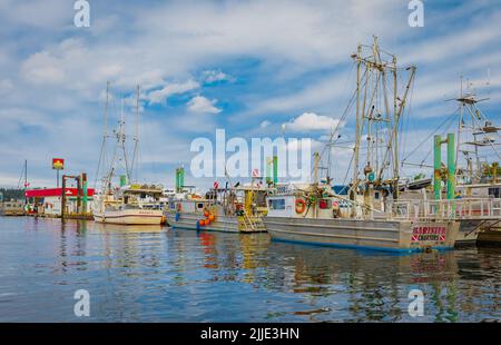 bateaux de pêche dans un port de pêche par beau temps d'été. Port avec bateaux de pêche colorés et yachts à voile amarrés. Beaucoup de bateaux à la jetée. Trave Banque D'Images