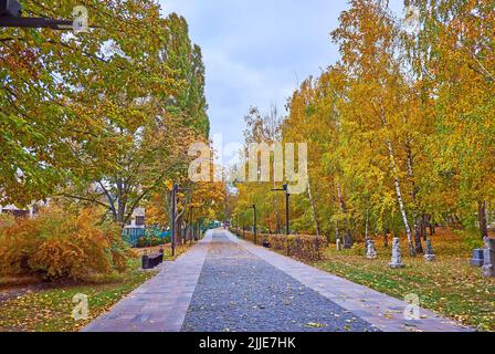 La route du chagrin dans le parc commémoratif de l'Holocauste de Babyn Yar, bordé de birches d'automne jaune vif, Kiev, Ukraine Banque D'Images