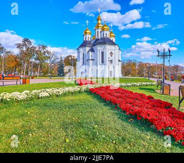 Les massifs fleuris pittoresques de chrysanthème et la pelouse verte devant l'église Sainte-Catherine en dôme doré, Chernihiv, Ukraine Banque D'Images