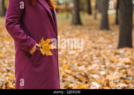 Chute de la feuille tenant dans la main femelle. Photo sans visage d'une femme en manteau violet tenant une feuille d'érable jaune Banque D'Images
