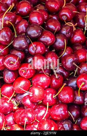 cerises fraîchement cueillies en gros plan, panier de cerises sur le marché, cerises fraîches exposées dans un magasin d'épicerie, cerises fraîches Banque D'Images