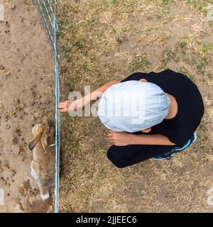 Lapin domestique (Oryctolagus cuniculus domesticus) et garçon enfant de chaque côté d'une clôture basse directement d'en haut, Radpuszta, Balaton, Balatonlel Banque D'Images